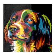 Paint by Number 40 x 40cm - Black